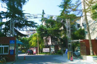寶林八村